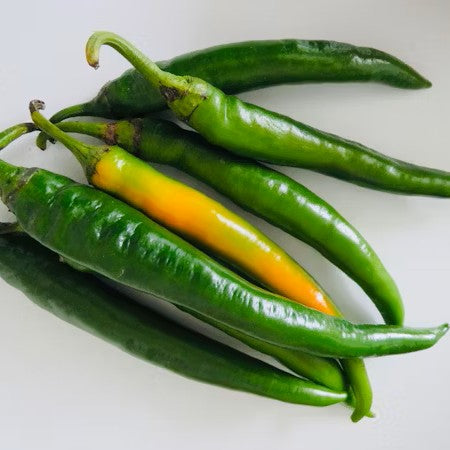 Organic Baklouti Green Chili