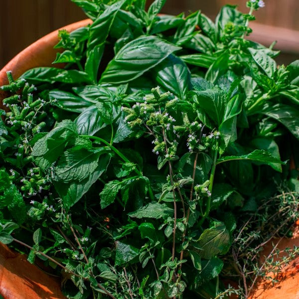 Herbs de Provence