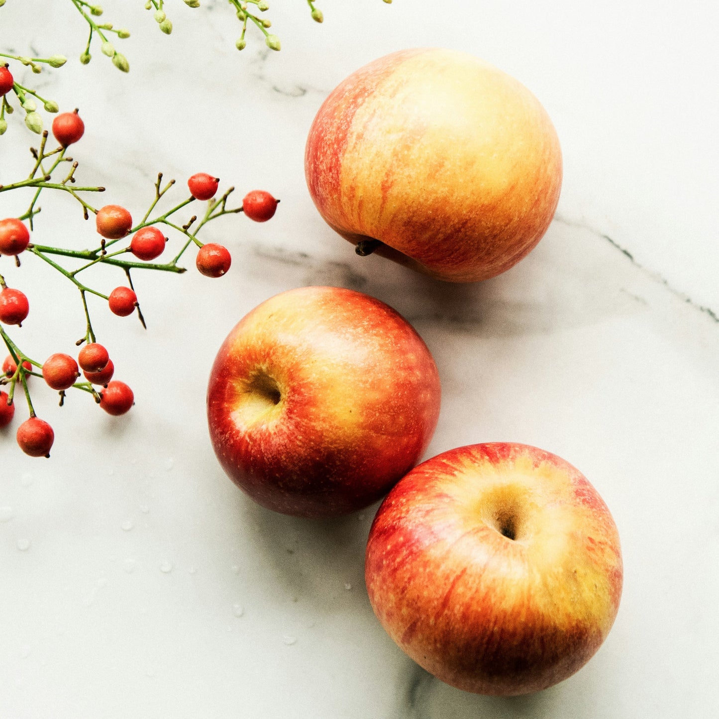Gravenstein Apple White Balsamic