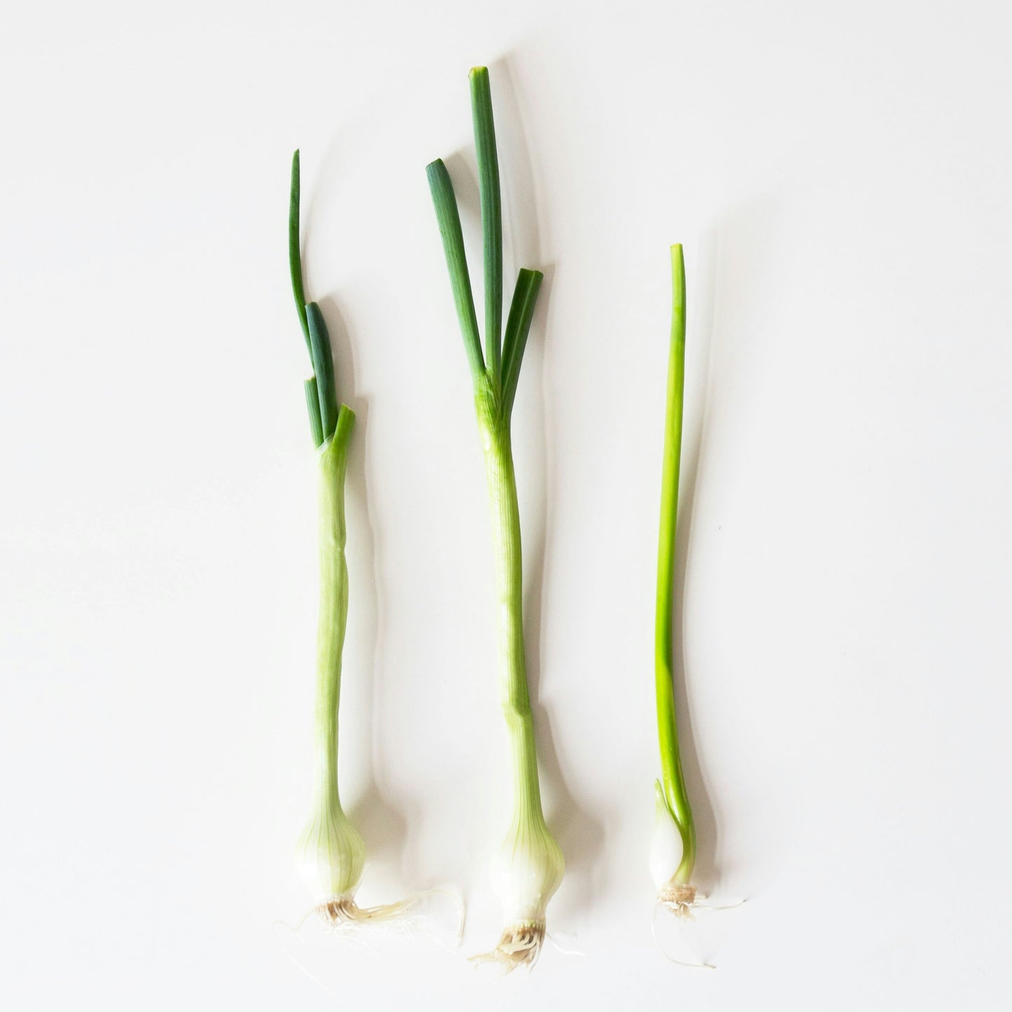 Garlic Chive White Balsamic