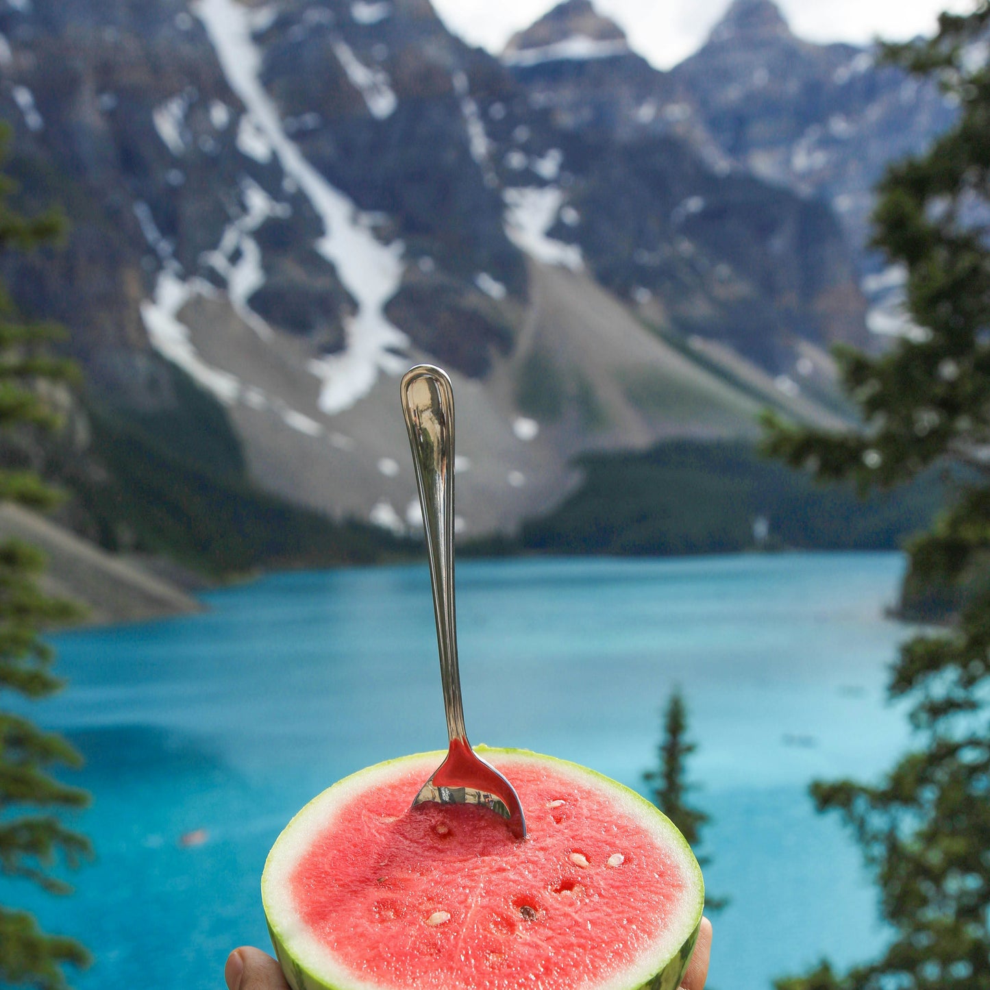 Watermelon Rosé Balsamic