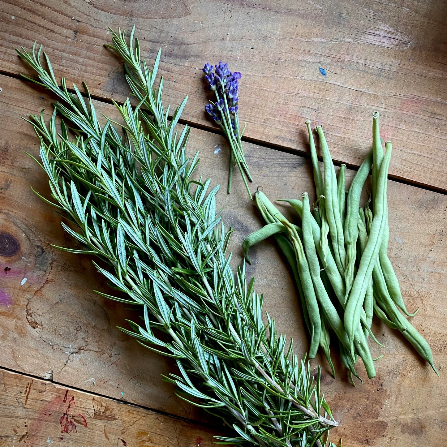 Rosemary Fused Olive Oil