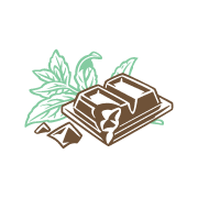 Mint Chocolate Creamed Honey