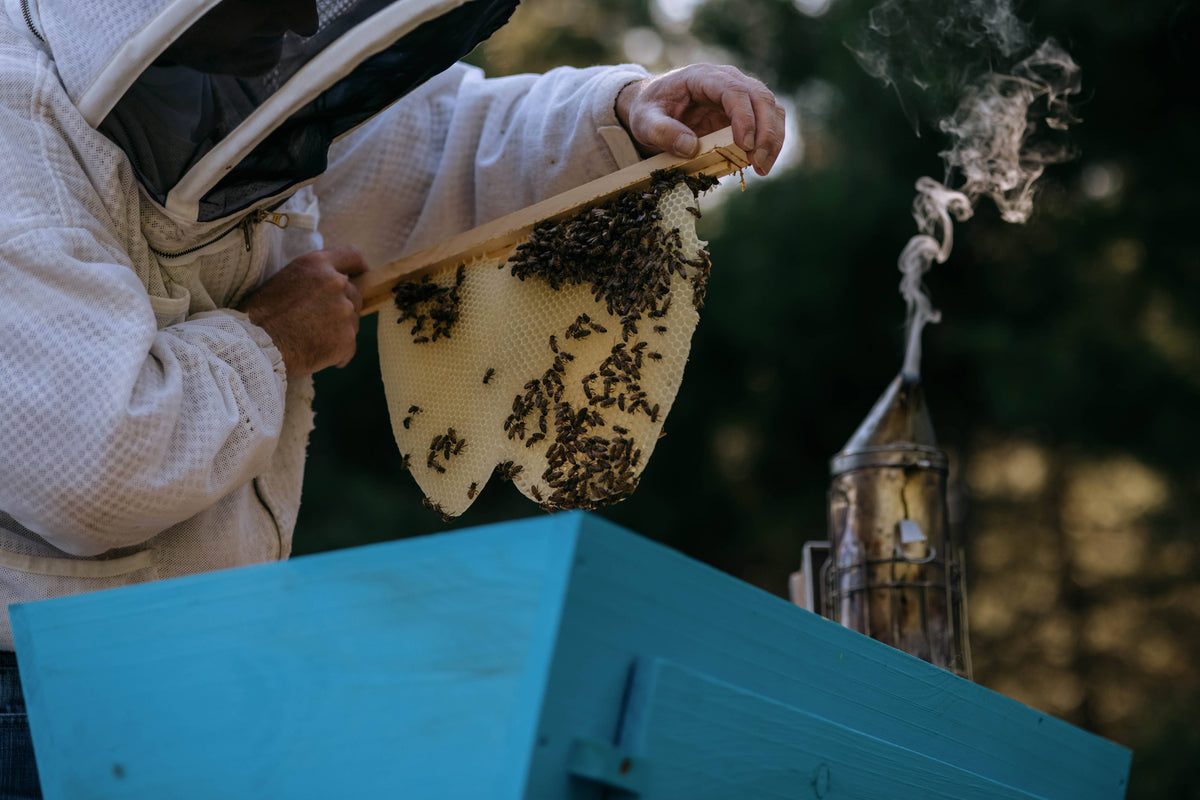 Creamed Wildflower Honey