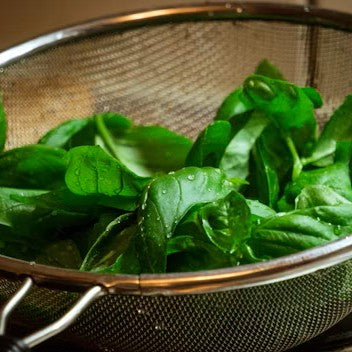 Basil Infused Oil