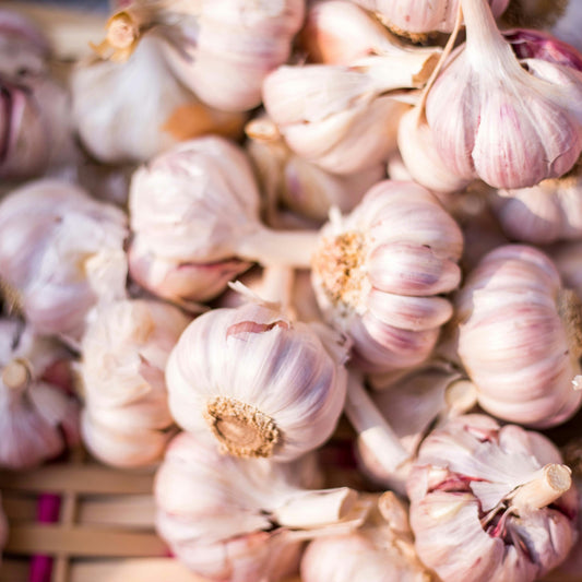 Garlic Olive Oil