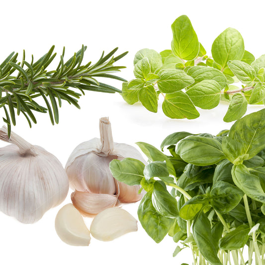 Tuscan Herb Olive Oil