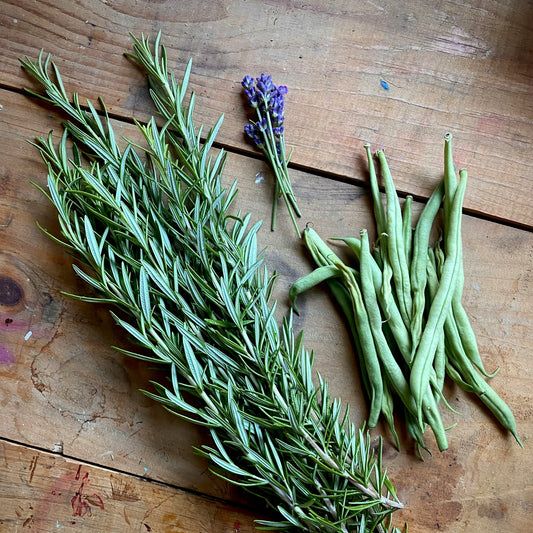 Rosemary Fused Olive Oil